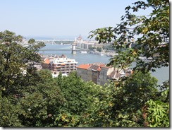 IMG_1532