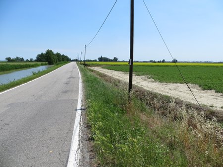 IMG 2819
