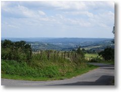 IMG 0304