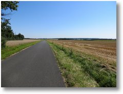 IMG 0894